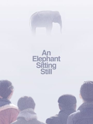 An Elephant Sitting Still