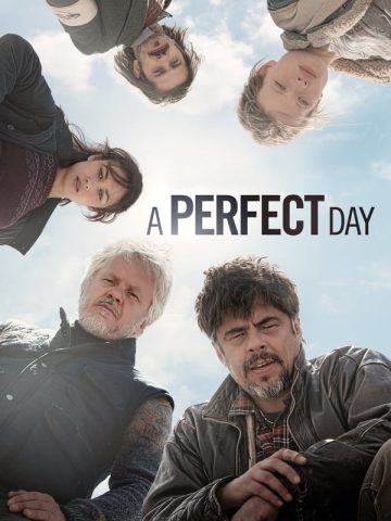 A Perfect Day