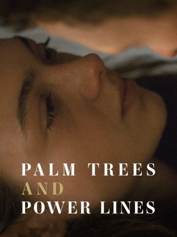 Palm Trees and Power Lines