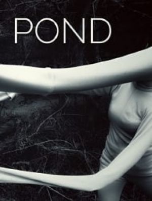 The Pond
