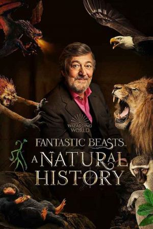 Fantastic Beasts A Natural History
