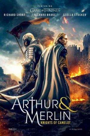 Arthur & Merlin Knights of Camelot