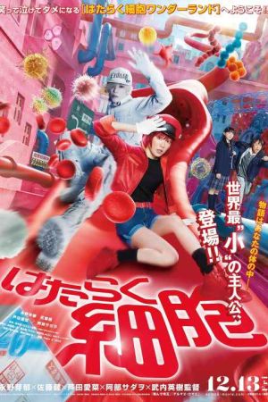 Cells at Work