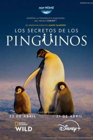 Secrets of the Penguins