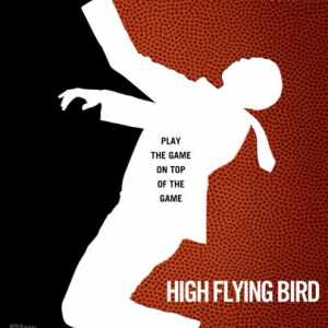high flying bird